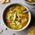 Vegetable-Orzo-Soup-Recipe